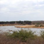 Tsavo East