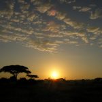 Tsavo East
