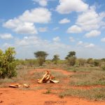 Tsavo East