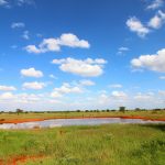 Tsavo East