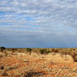 Tsavo East