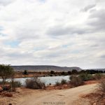 Tsavo East