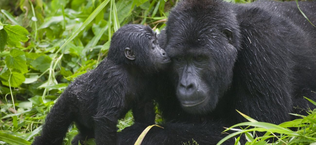 EXCLUSIVE 10 DAYS UGANDA