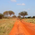 Tsavo East