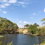 Mzima springs